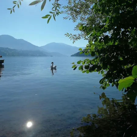 Daire Kerschbaumer *